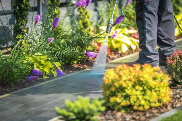 Best Brick and Stone Cleaning in Pleasant Valley, WV