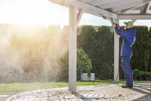 Best Driveway Cleaning and Restoration in Pleasant Valley, WV