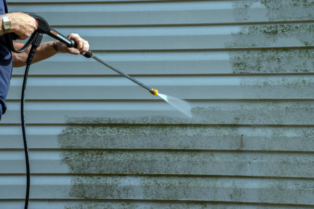 Best Soft Washing for Delicate Surfaces in Pleasant Valley, WV