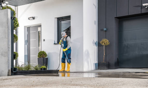 Best Gutter Cleaning and Brightening in Pleasant Valley, WV